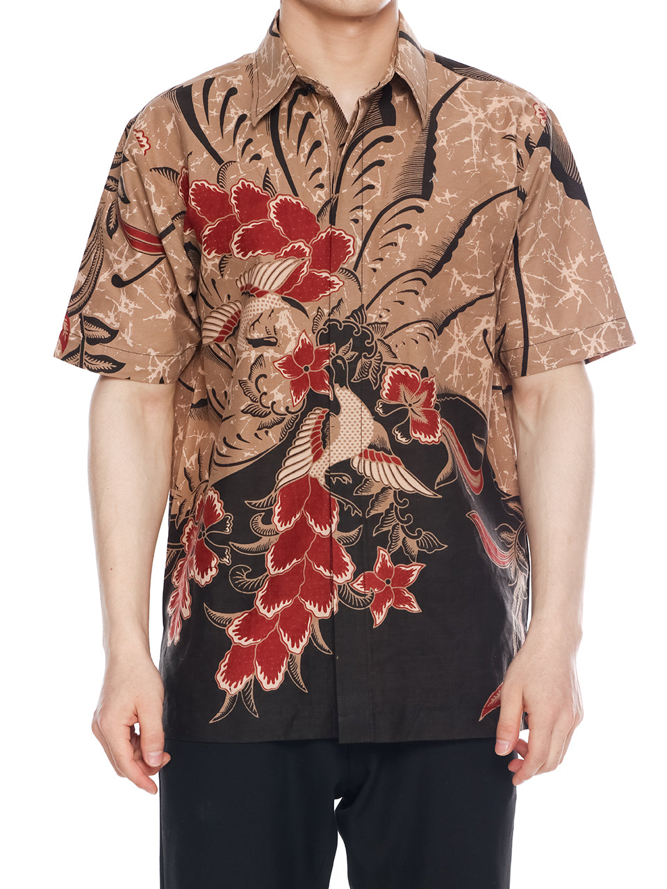 Phoenix Peanut Maroon Men Shirt